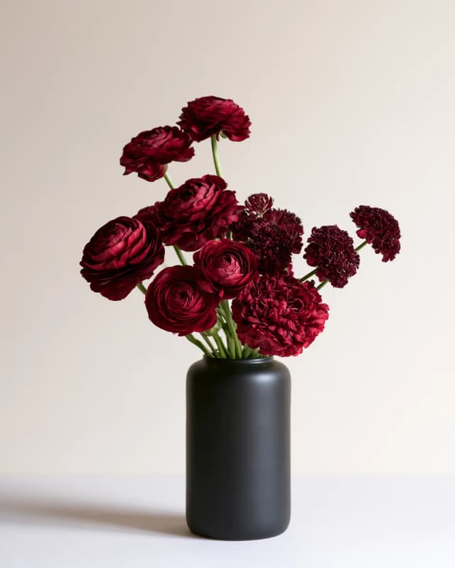 Oxblood Ranunculus